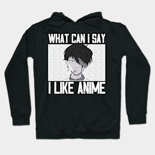 What Can I Say I Really Anime Hoodie